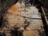 image of grave number 513125